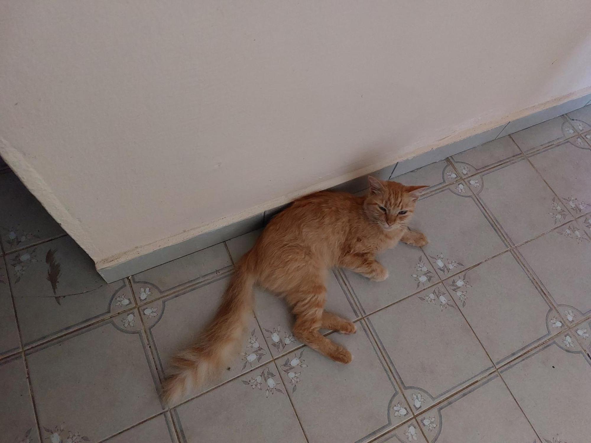La Jemeli Ξενοδοχείο Grand-Bourg  Εξωτερικό φωτογραφία